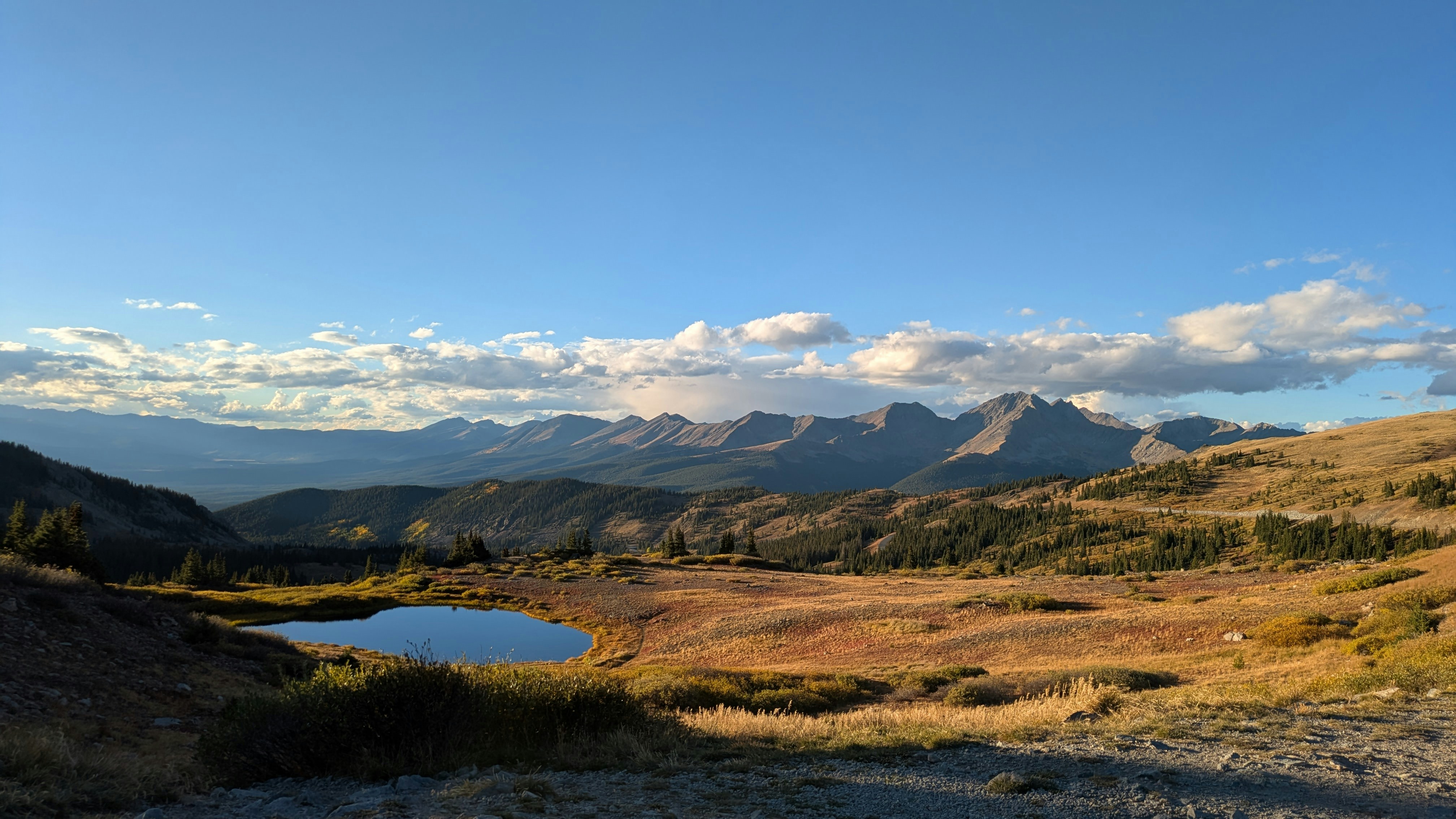 Code Editors: What I Actually Use